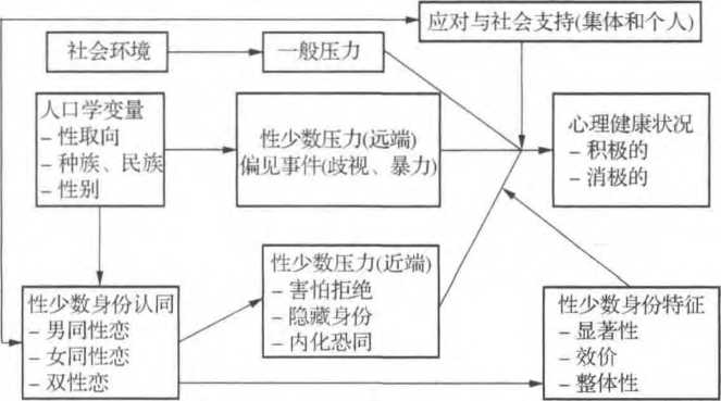 性少数压力模型图